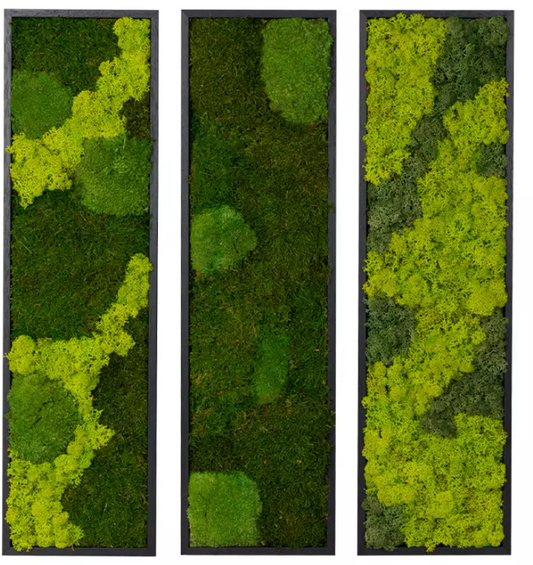 Mosschilderij